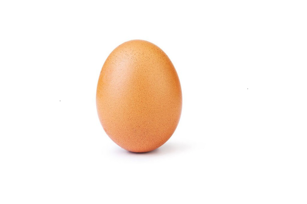 البيضة التي هزمت كايلي جينر